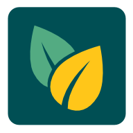 wasm loader icon